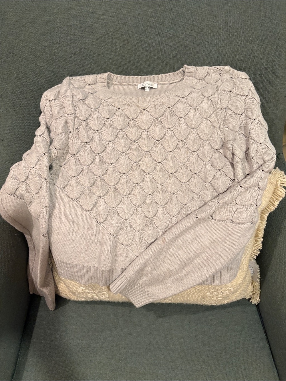 Light blue gray Scallop Knit Sweater - Women